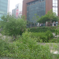 The redesign greatly improves the amount of landscape open space in Seoul. Source: MIG