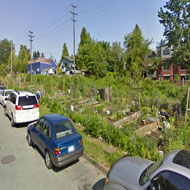  Maple Street Community Gardens Source: Google Street View 2012